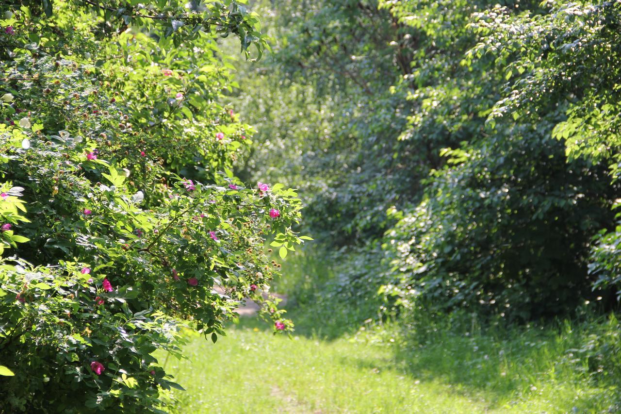 Lebediny Guest House Breszt Kültér fotó